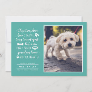 Strange Times New Pet Photo Faire-part   Turquoise