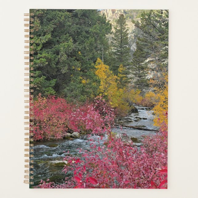 Stream Blooms Planner (Devant)