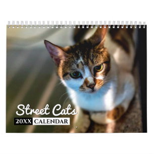 Street Cats 2022 - Calendrier photo Wall