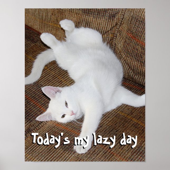 Stretching Cat - Poster (Devant)