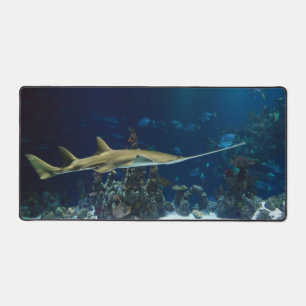Strike Sawfish Sous l'eau