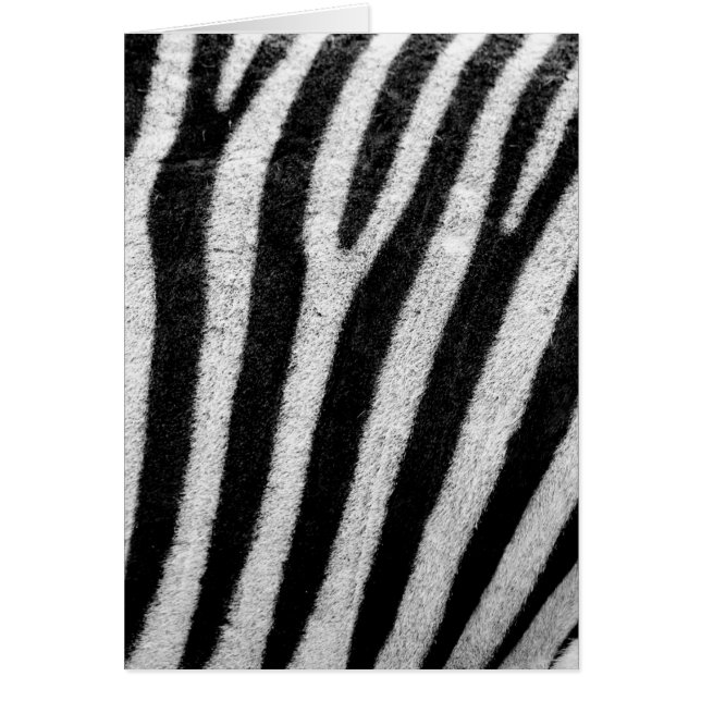 Stripes de cheveux Zèbre noir et blanc (Devant)