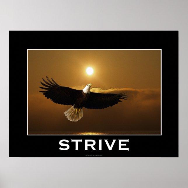 STRIVE ~ Poster Motivationnel de l'aigle à tête vo (Devant)