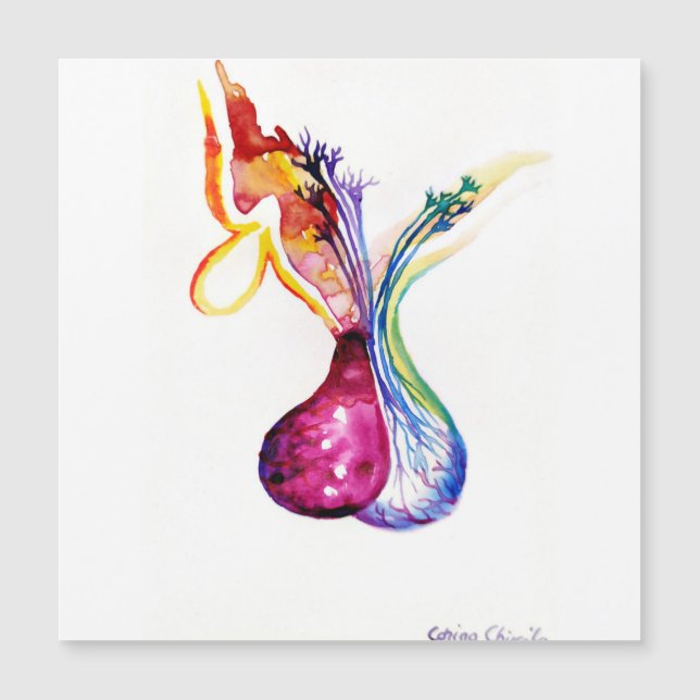 Structure hypophysaire (Devant)