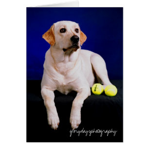 studio de marin, glorydaysphotography