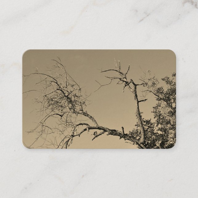 STYLE ART&DESIGN carte de visite (Devant)