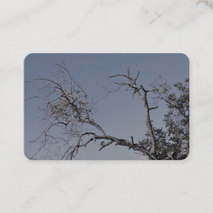 STYLE ART&DESIGN carte de visite