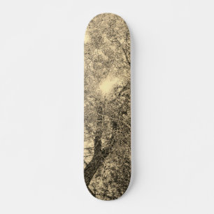 STYLE ET CONCEPTION DE PLANCHE À ROULETTE