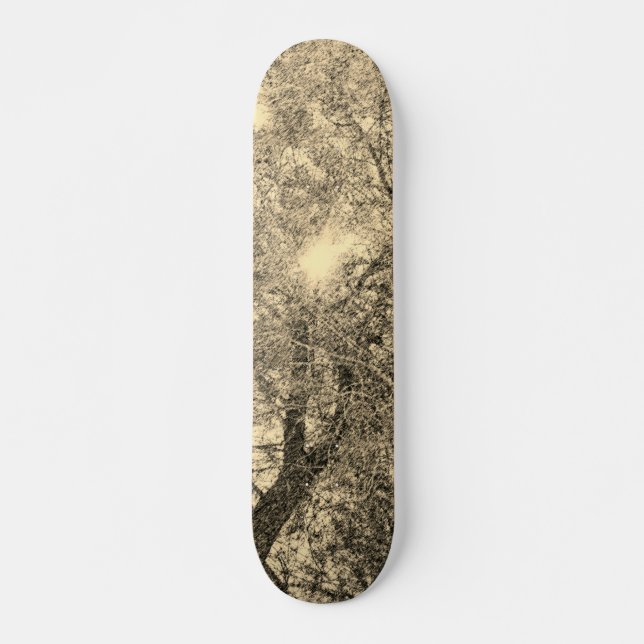 STYLE ET CONCEPTION DE PLANCHE À ROULETTE (Devant)
