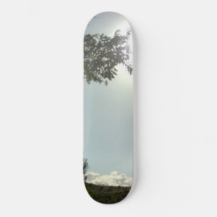 STYLE ET CONCEPTION DE PLANCHE À ROULETTE
