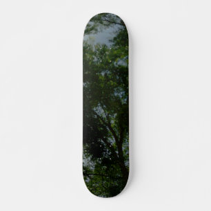 STYLE ET CONCEPTION DE PLANCHE À ROULETTE