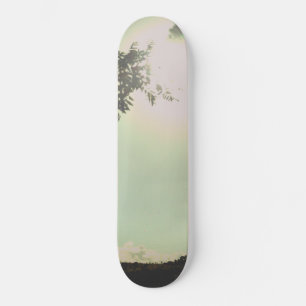 STYLE ET CONCEPTION DE PLANCHE À ROULETTE