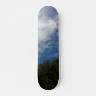 style et conception du skateboard