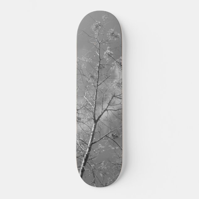 Style et conception du skateboard (Recto)