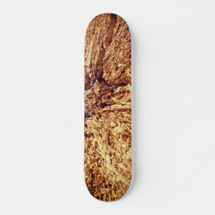 STYLE ET DESIGN SKATEBOARD