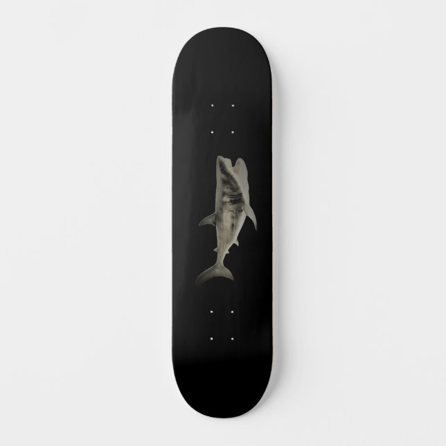 STYLE ET DESIGN SKATEBOARD (Recto)