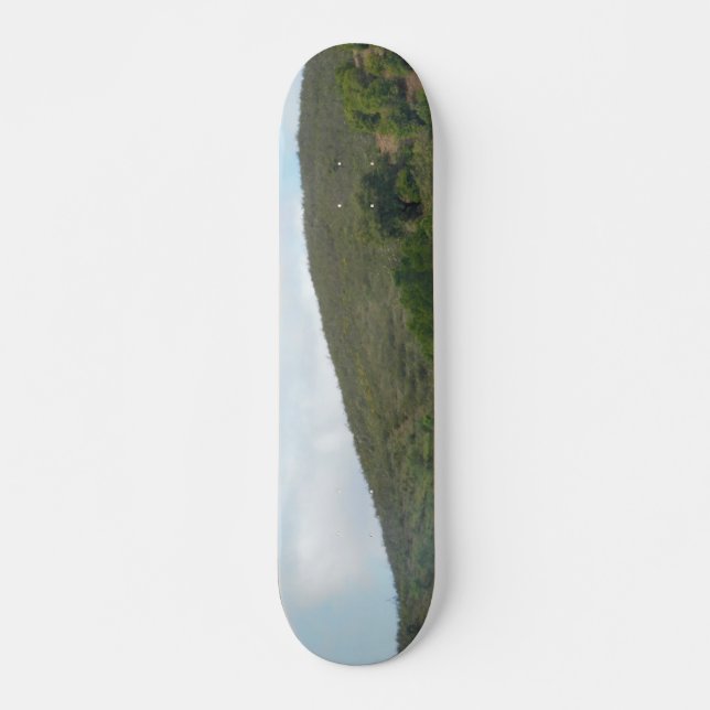 STYLE ET DESIGN SKATEBOARD (Devant)