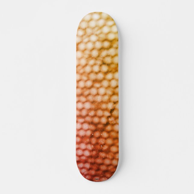 STYLE ET DESIGN SKATEBOARD (Devant)