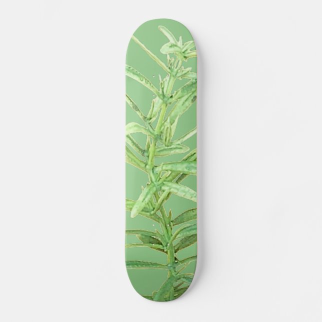 STYLE ET DESIGN SKATEBOARD (Recto)