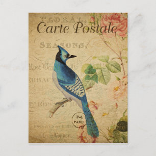 Style vintage Bleu Oiseau Carte Française Postale