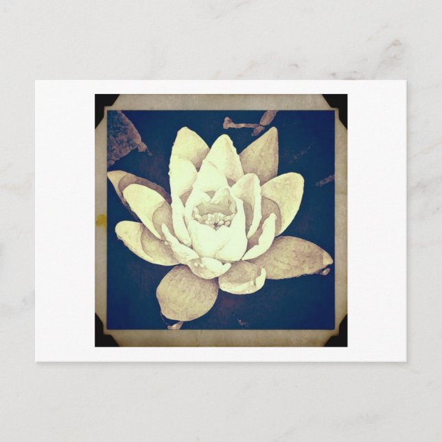 STYLE vintage LOTUS "PHOTOGRAPHIE" CARTE POSTALE (Devant)