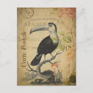Style vintage Toucan Carte française Postale