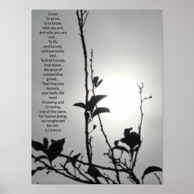 STYLES D'ART ET DE DESIGN POSTER (Devant)