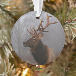 Stylish and Elegant Christmas Elk