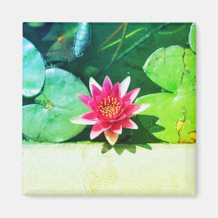 Stylized Red Green Water Lily Flower Plants Magnet
