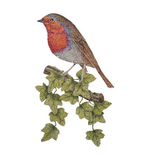 Stylo Bleu Robin perché sur des feuilles de lierre oiseaux sa