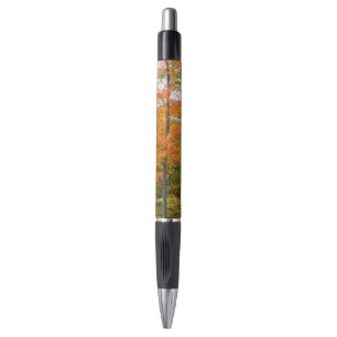 Stylo Érables en automne Photographie de la nature