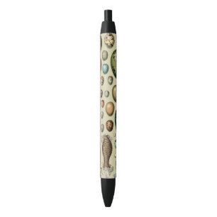 Stylo Noir Adolphe Millot Académie sombre Art vintage d'œuf d
