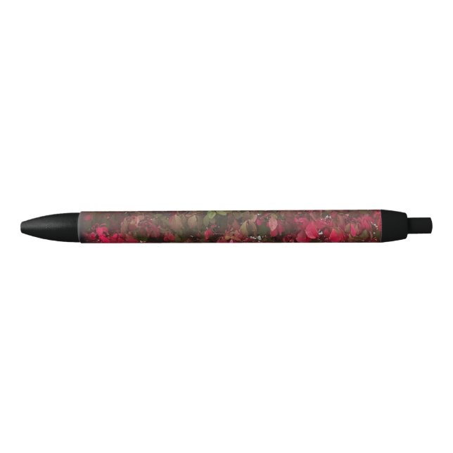 Stylo Noir Changer les saisons (Devant)