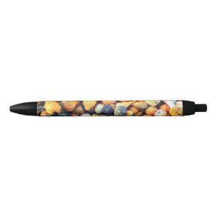 Stylo Noir Citrouilles Colorées C