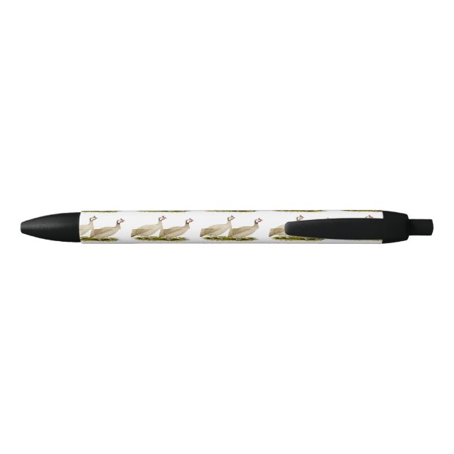 Stylo Noir Guineas Buff Dundotte Fowl (Dos)