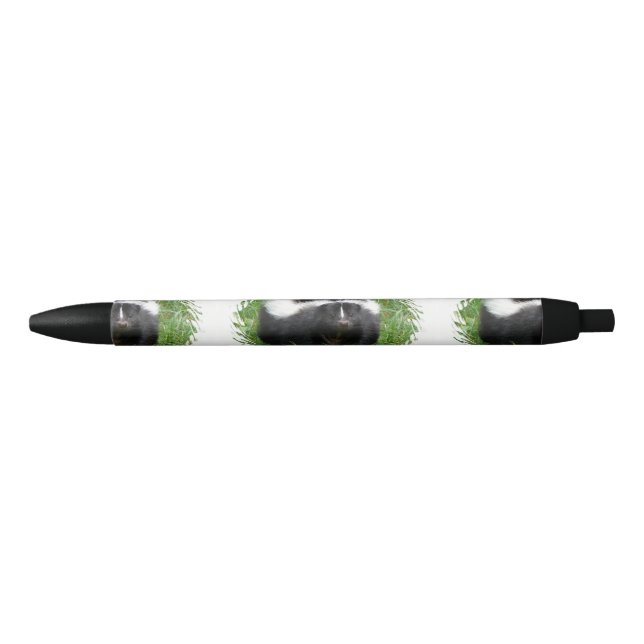 Stylo Noir Mouffette (Devant)