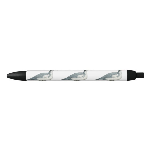 Stylo Noir Muscovy Blue Pied Drake (Devant)