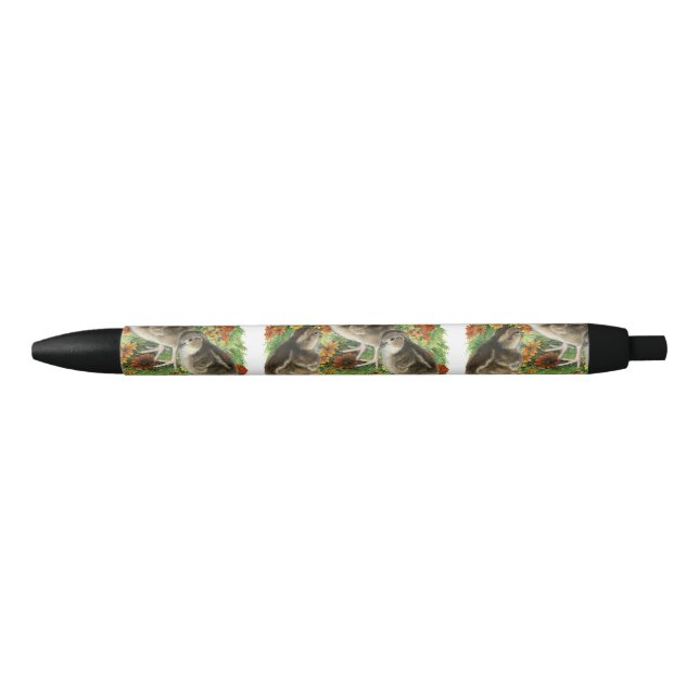 Stylo Noir Poussins de jardin de colin (Devant)