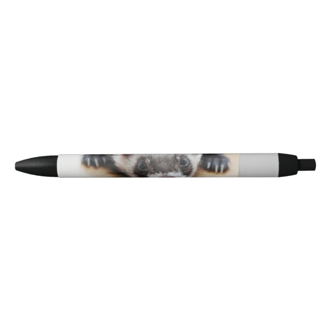 Stylo Noir Sable Ferret (Devant)