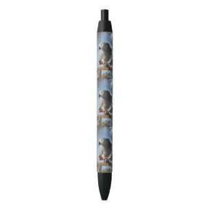 Stylo Noir Superbe perroquet gris africain
