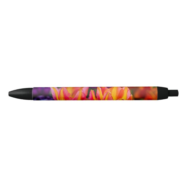 Stylo Noir Tulipes Enchanter 16 (Devant)