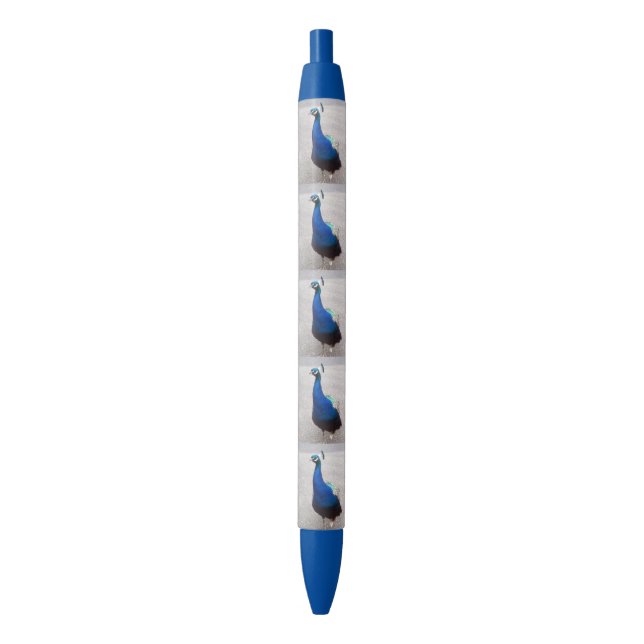Stylo Peacock bleu (devant Vertical)