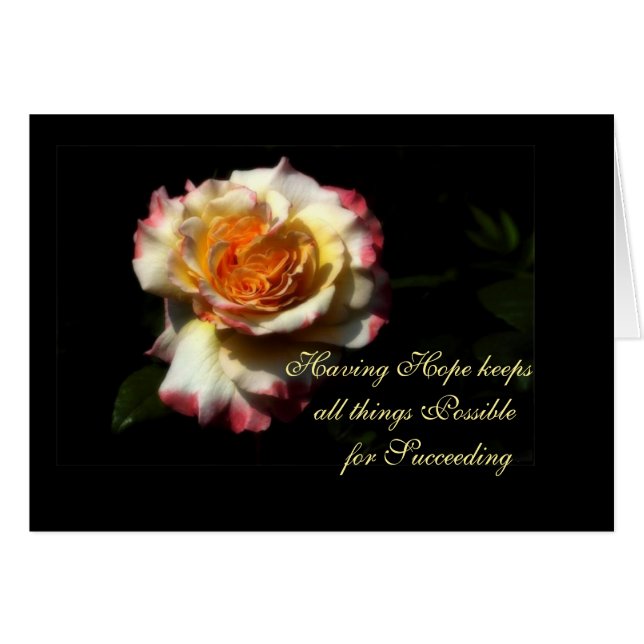 Succès (Devant horizontal)