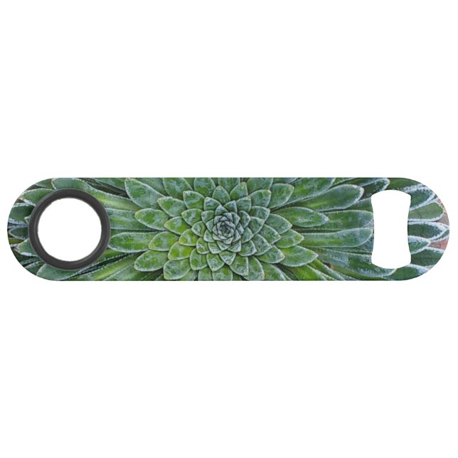 Succulent plante du désert (Dos Horizontal)