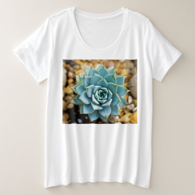 Succulente (Design devant)