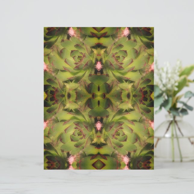 Succulents Poules et pousses Papier à Retard (Debout devant)