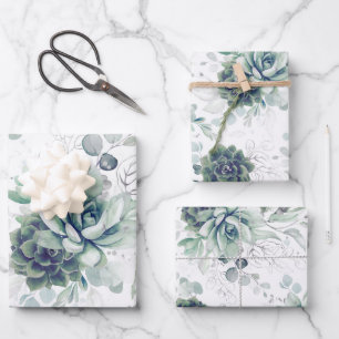 Succulents Verdure et Argent Eucalyptus Feuilles