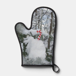 Sucre de canne sur l'arbre couvert de neige