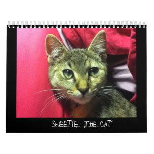 SUÉTIE LE calendrier CAT