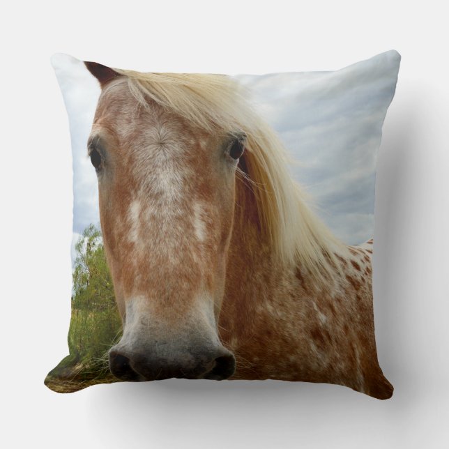 Sugar le cheval Appaloosa, grand coussin à jeter. (Recto)